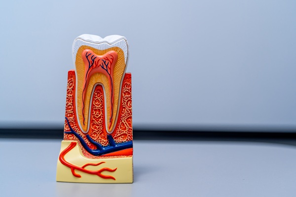 What Is A Non Surgical Root Canal?