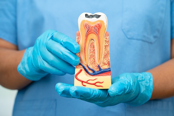 When To Seek Treatment: Signs That You Might Need A Root Canal Specialist